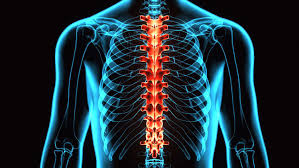 Relieve Lower Back Pain with the SpinalTrax™ Lumbar Traction Device