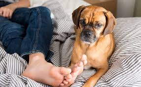 Preventing and Managing Foot Odor: Tips for Fresh Feet